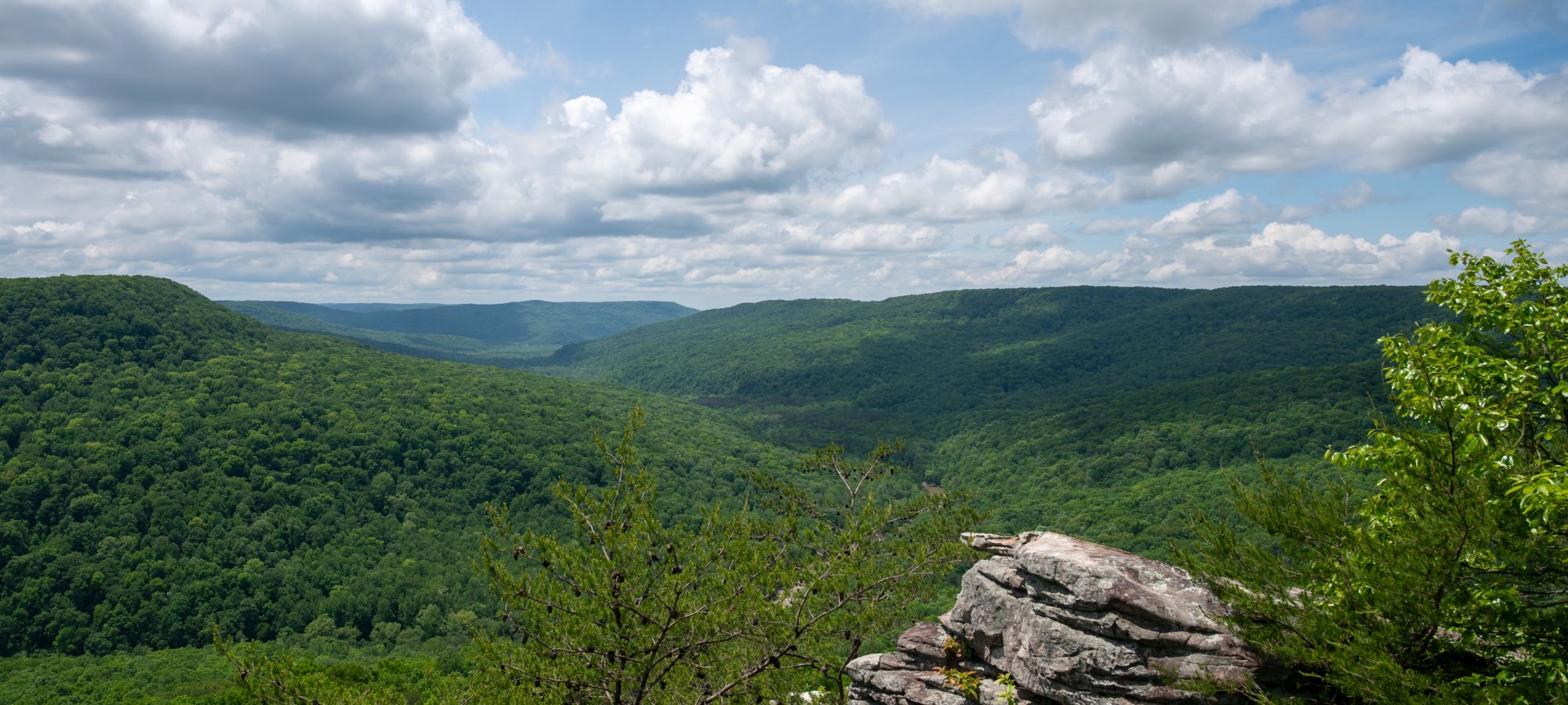 View of valley covered in trees and sky with clouds