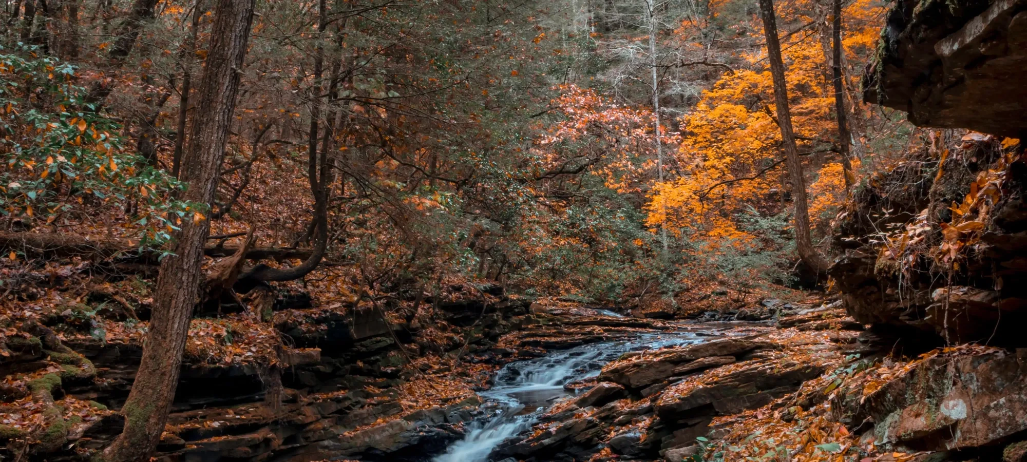 Forest waterfall with autumn leaves and orange foliage.