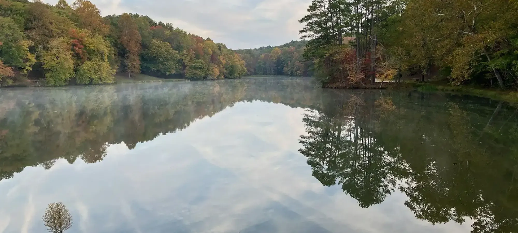 Calm lake with autumn trees reflecting on the water, grassy foreground.