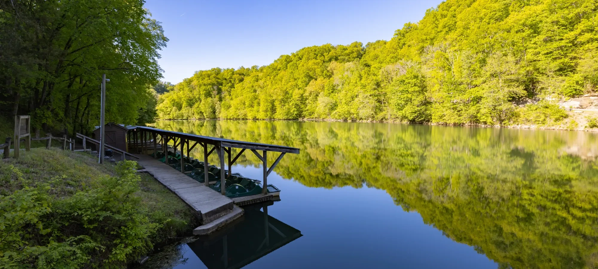 Dock with paddle boats on a calm, reflective lake, surrounded by lush green trees.