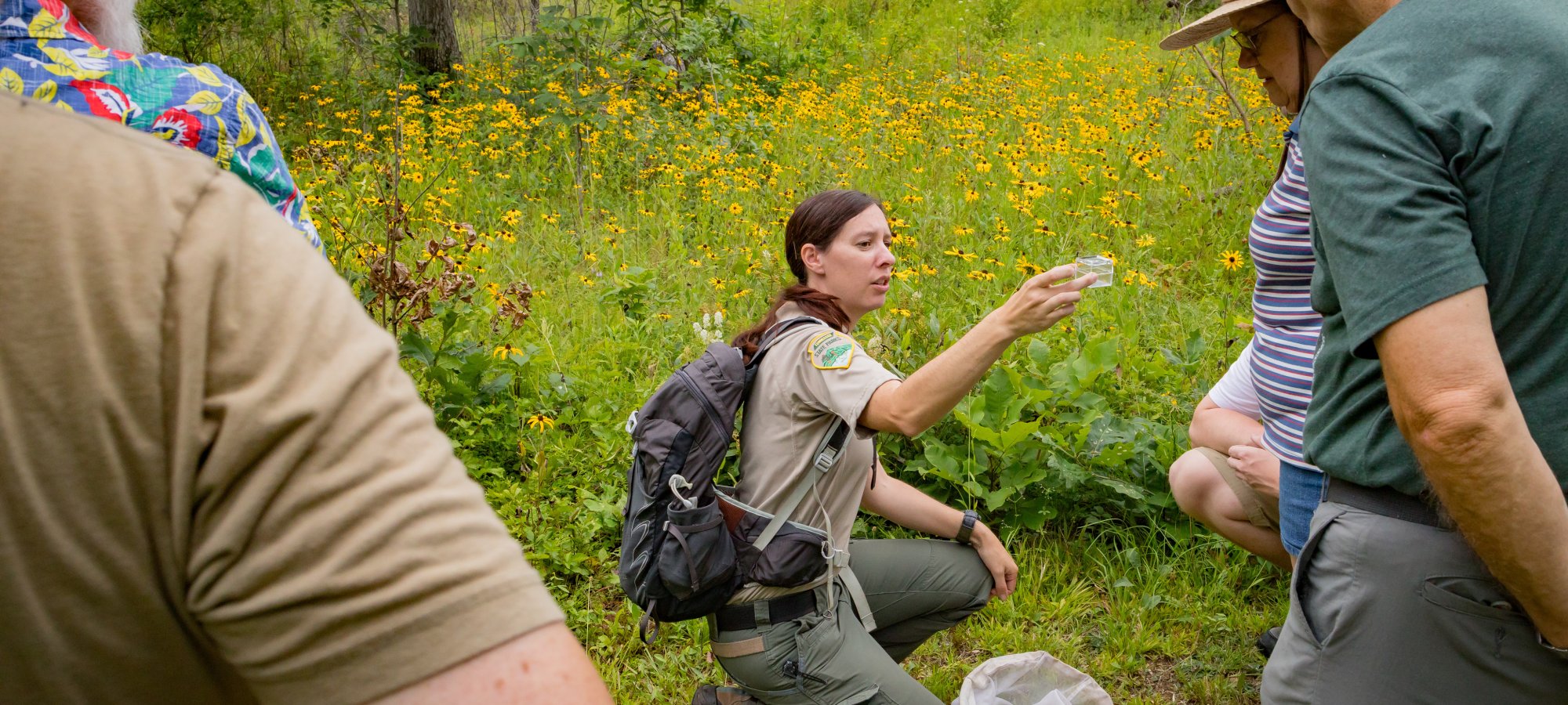 A park ranger kneels on a green field dotted with yellow wildflowers, showing an insect in a container to a group. The scene is educational and serene.