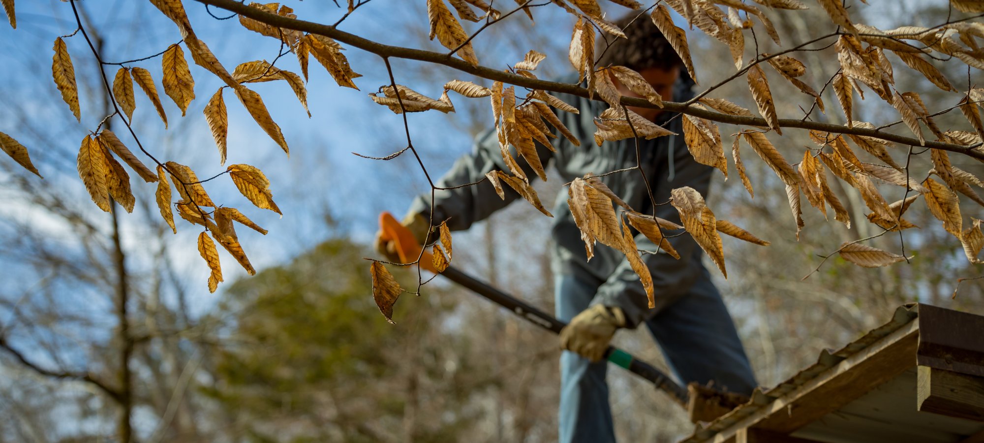 Blurred image of a person working on a roof, with focus on brown leaves in the foreground. It conveys an autumnal, industrious scene.