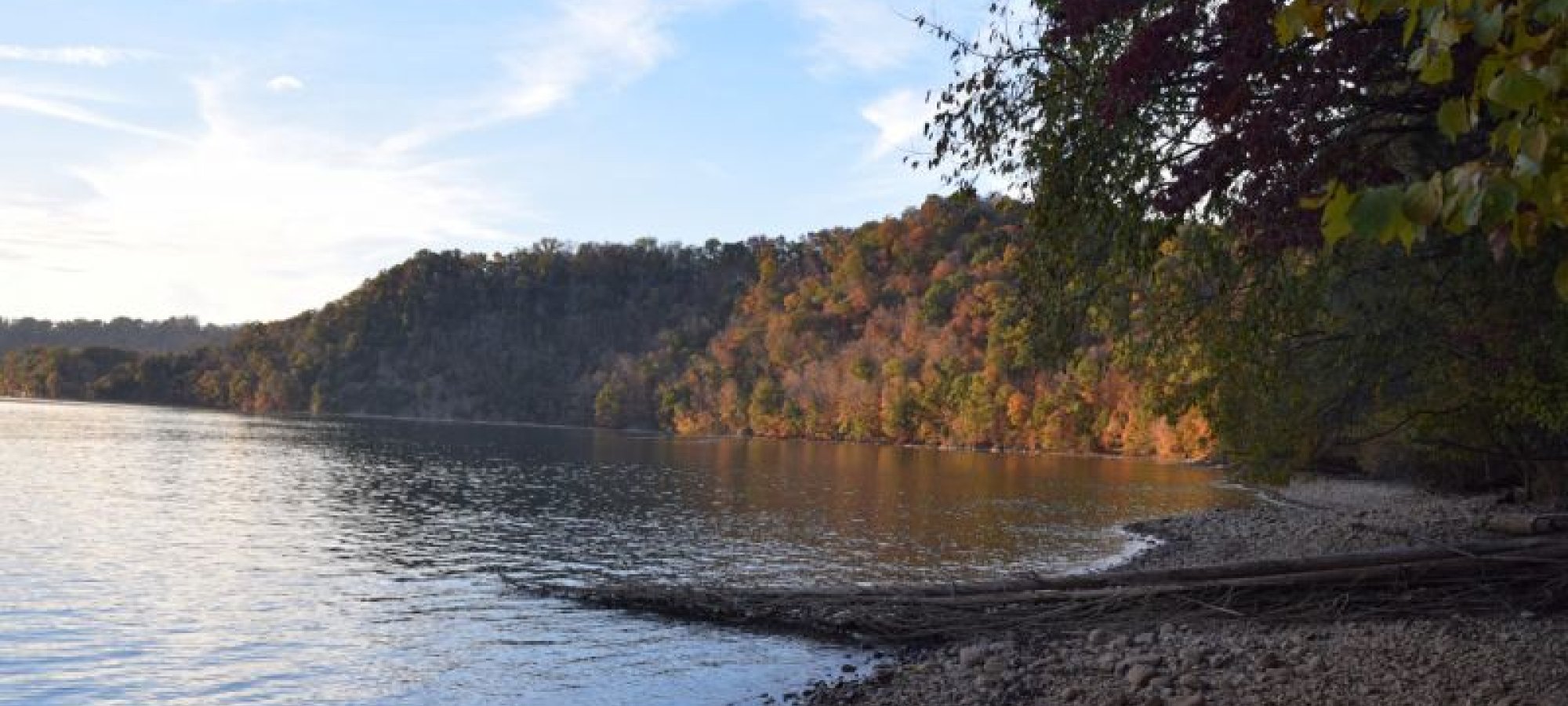 Calm lake with rocky shoreline and driftwood, bordered by autumn-colored trees. Hills in the distance under a partly cloudy blue sky. Peaceful ambiance.