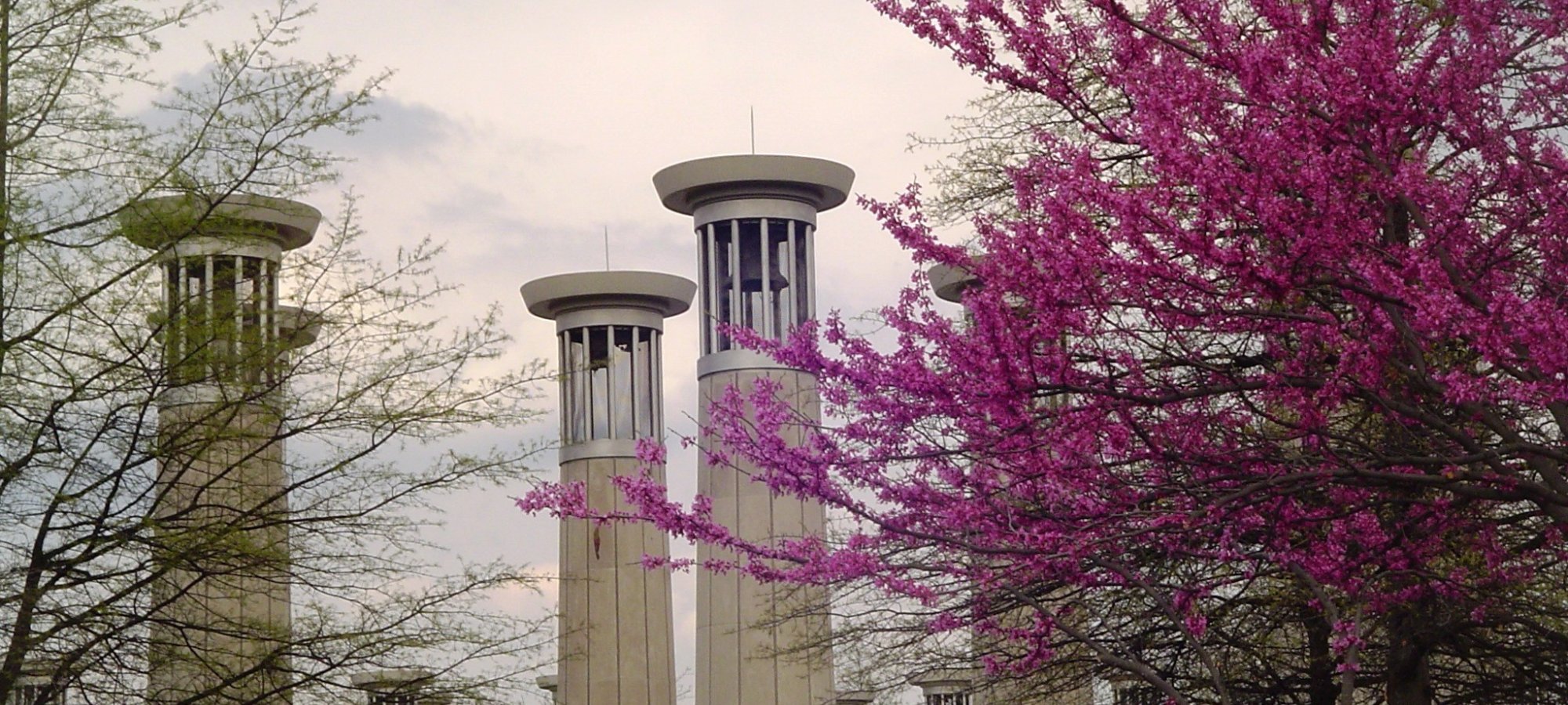 Tall, white columns with blue accents stand among blooming trees. A vibrant pink tree in the foreground contrasts with a cloudy sky. Serene atmosphere.