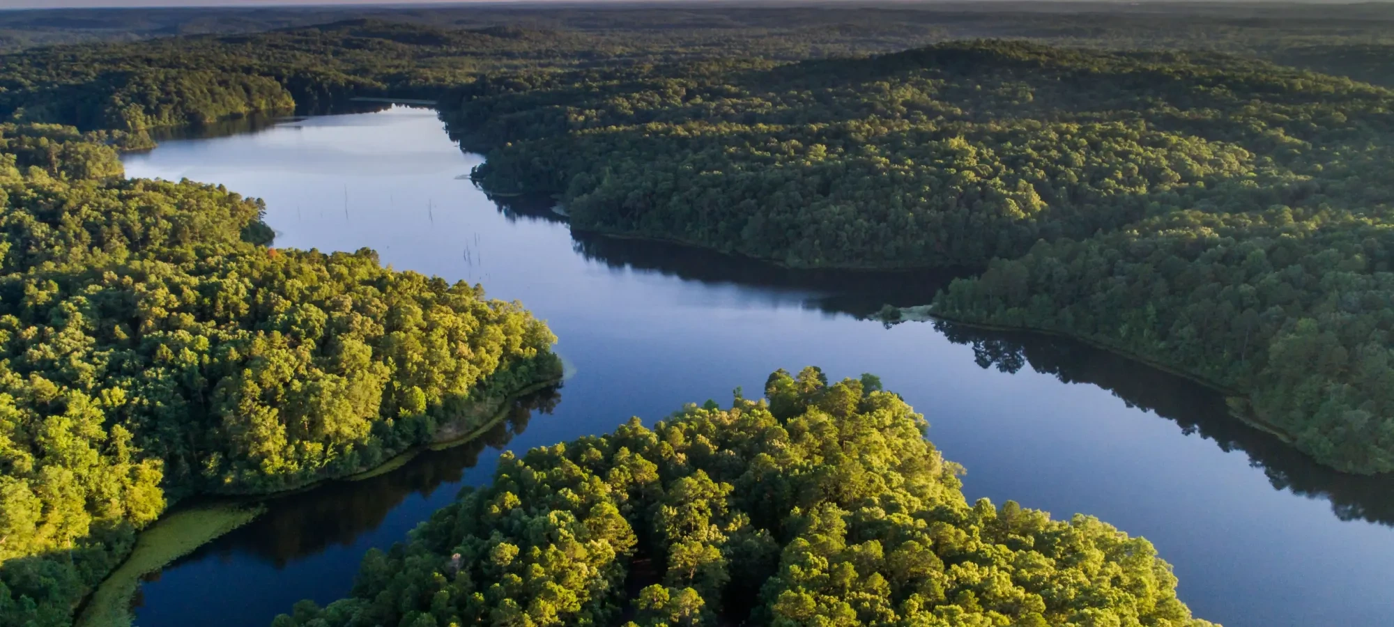 Aerial view of forested landscape with a calm river winding through.