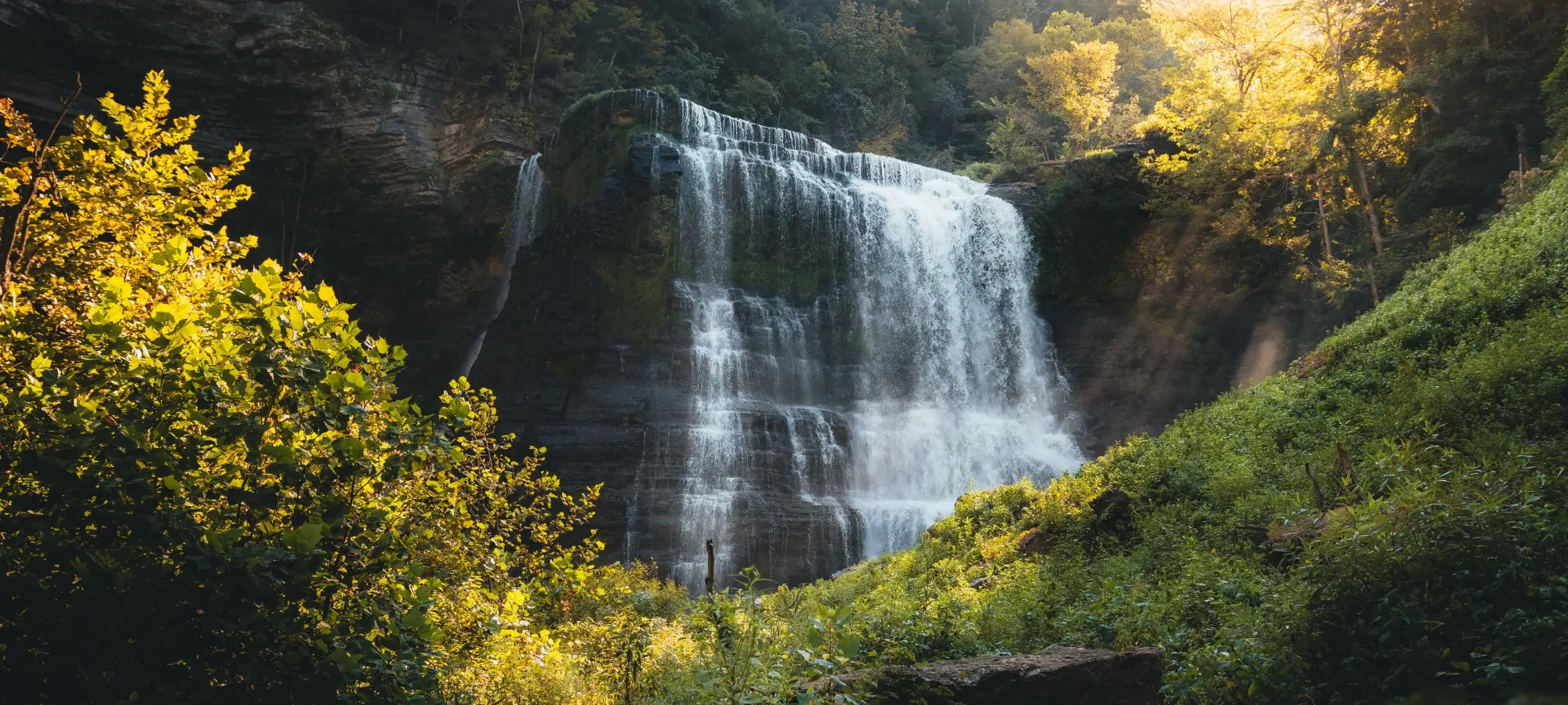 Waterfall surrounded by lush green foliage under soft sunlight.