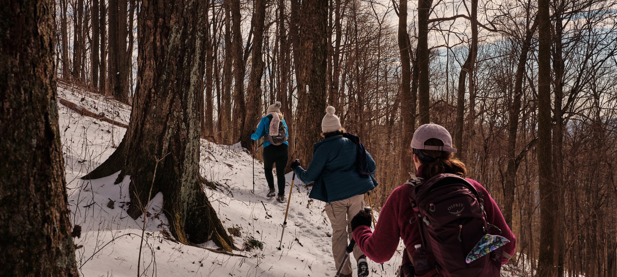 Three people hike through a snow-covered forest, wearing winter gear and backpacks. Bare trees and a cloudy sky create a serene, chilly atmosphere.