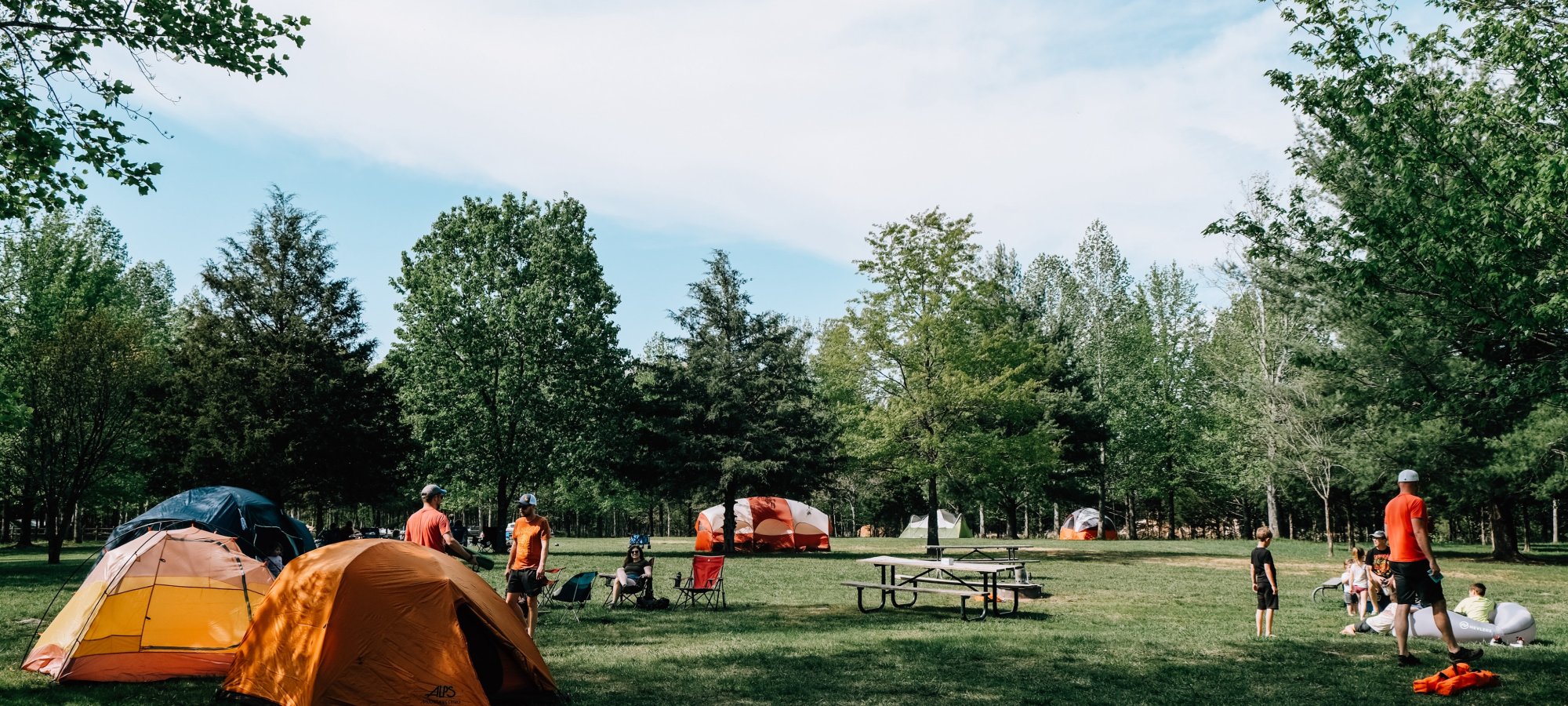 People camping in a sunny, spacious park with orange and blue tents. Trees surround the grass, creating a lively, outdoor atmosphere.
