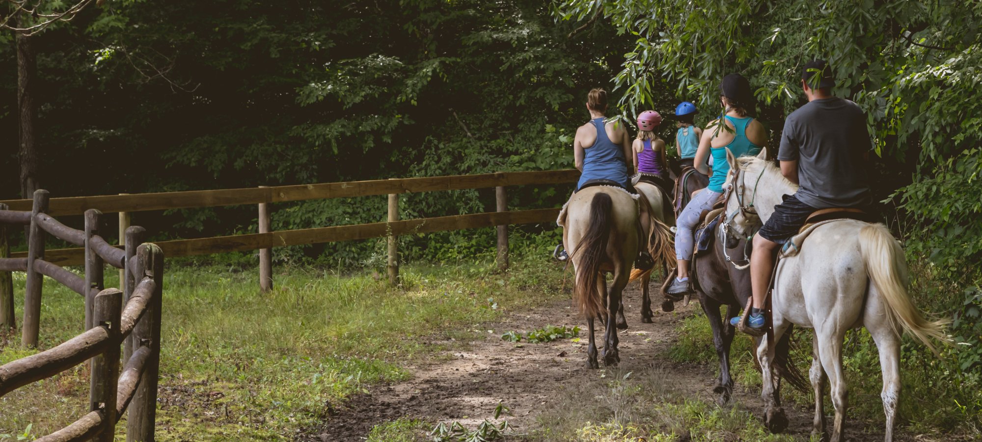 Five people share a peaceful horseback ride on a muddy forest trail, surrounded by lush green trees, evoking a sense of adventure and tranquility.
