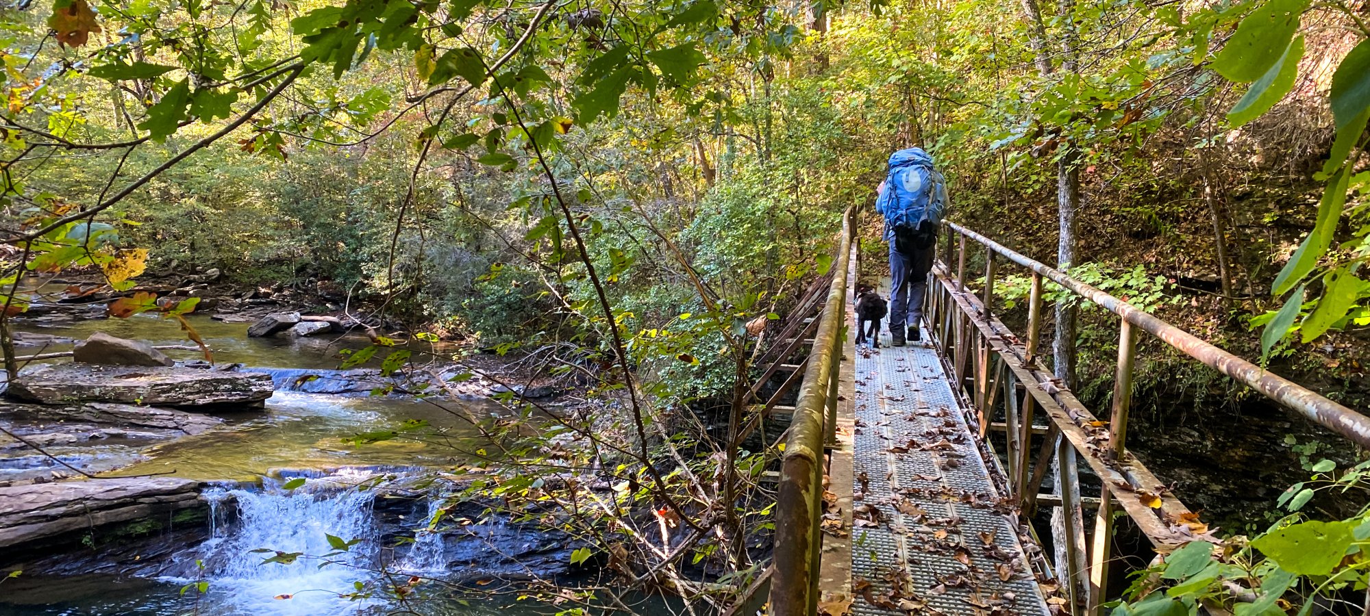 A person with a backpack and a dog crosses a narrow metal bridge over a serene forest stream. Sunlight filters through lush green trees, creating a tranquil scene.