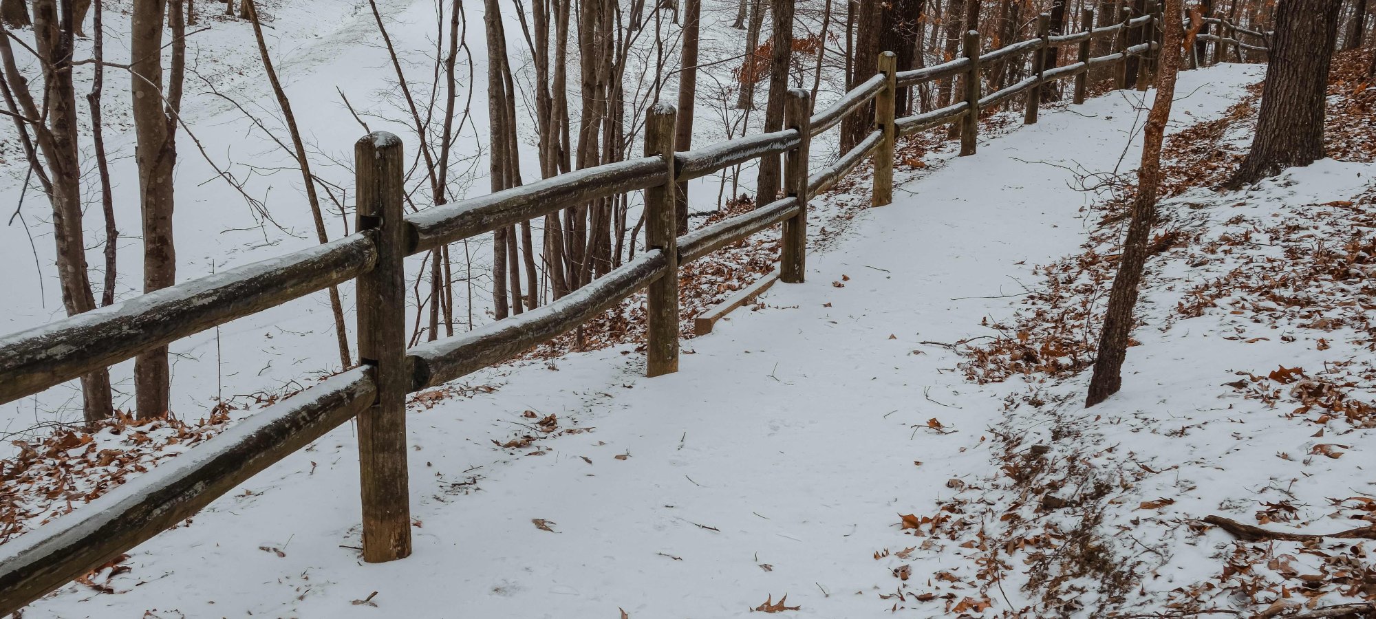 A snow-covered path winds through a forest, flanked by a rustic wooden fence. Bare trees and scattered brown leaves create a serene, wintry atmosphere.