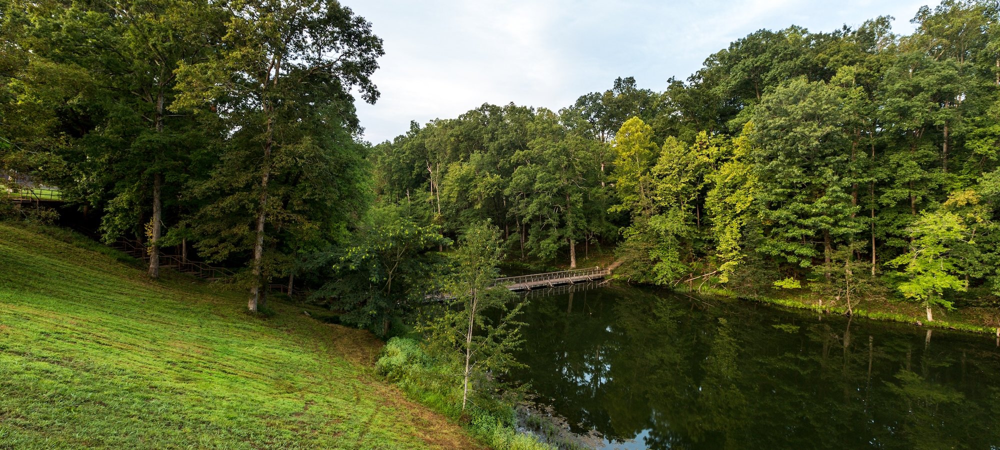 Trees and water