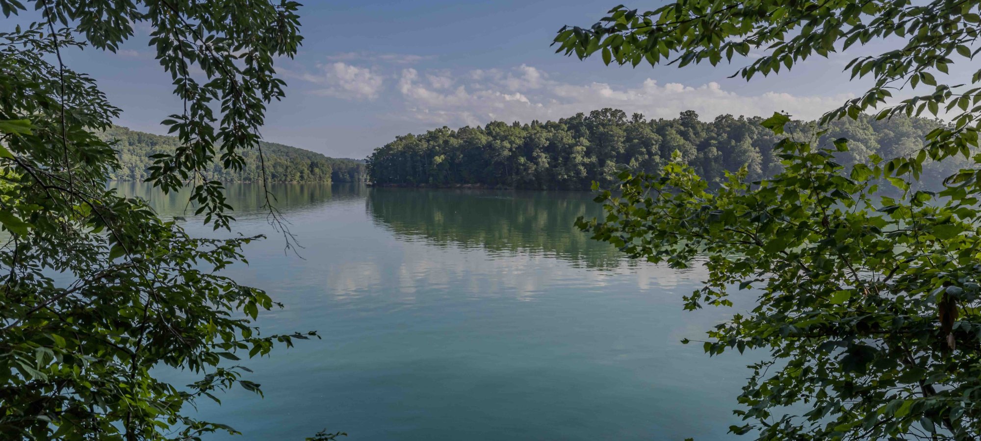 view of lake from an open tree area with the water reflecting the trees