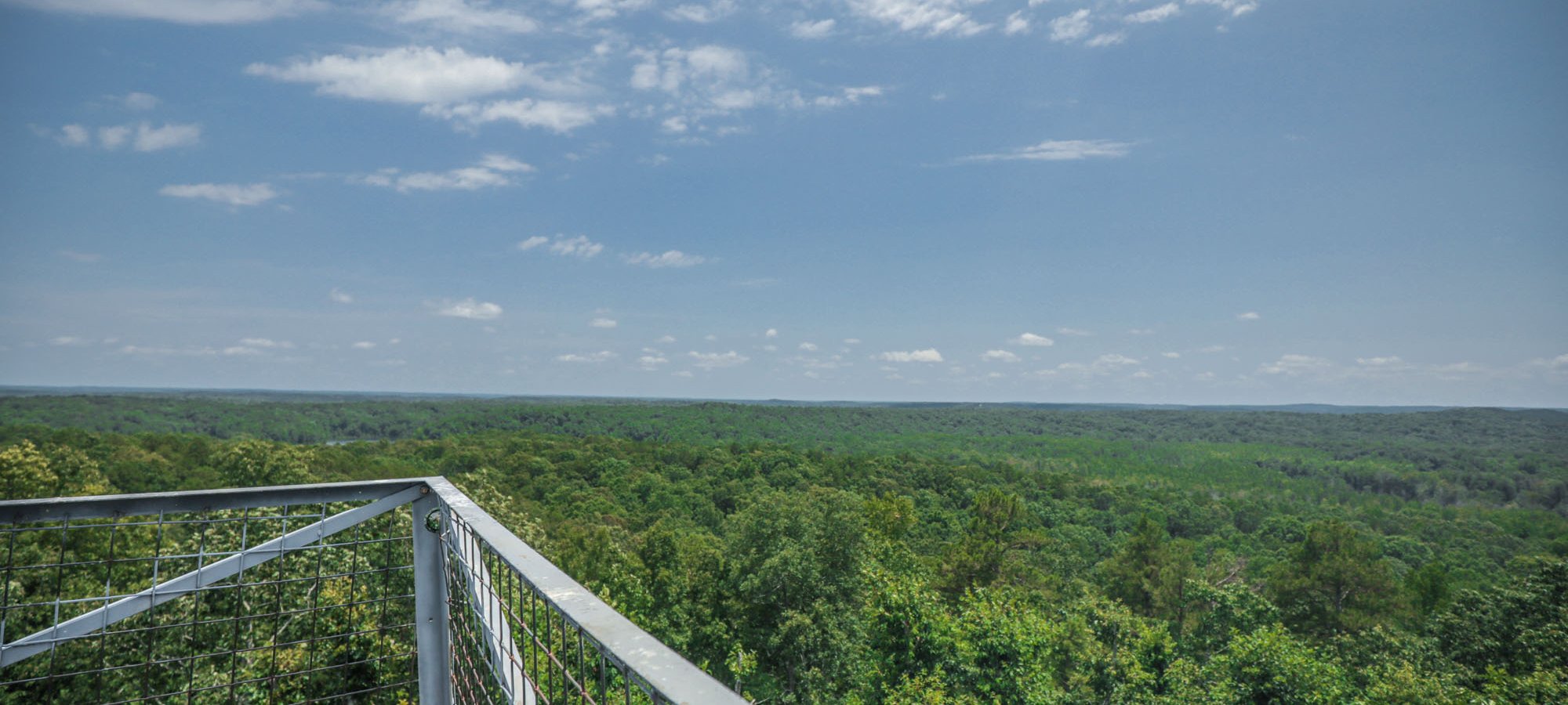 Forest view from a metal observation deck under a clear blue sky.