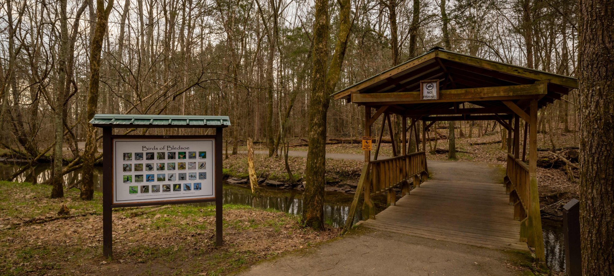 A serene wooded park scene features a covered wooden bridge crossing a small stream. A nature information sign with pictures stands nearby. Tranquil and inviting.