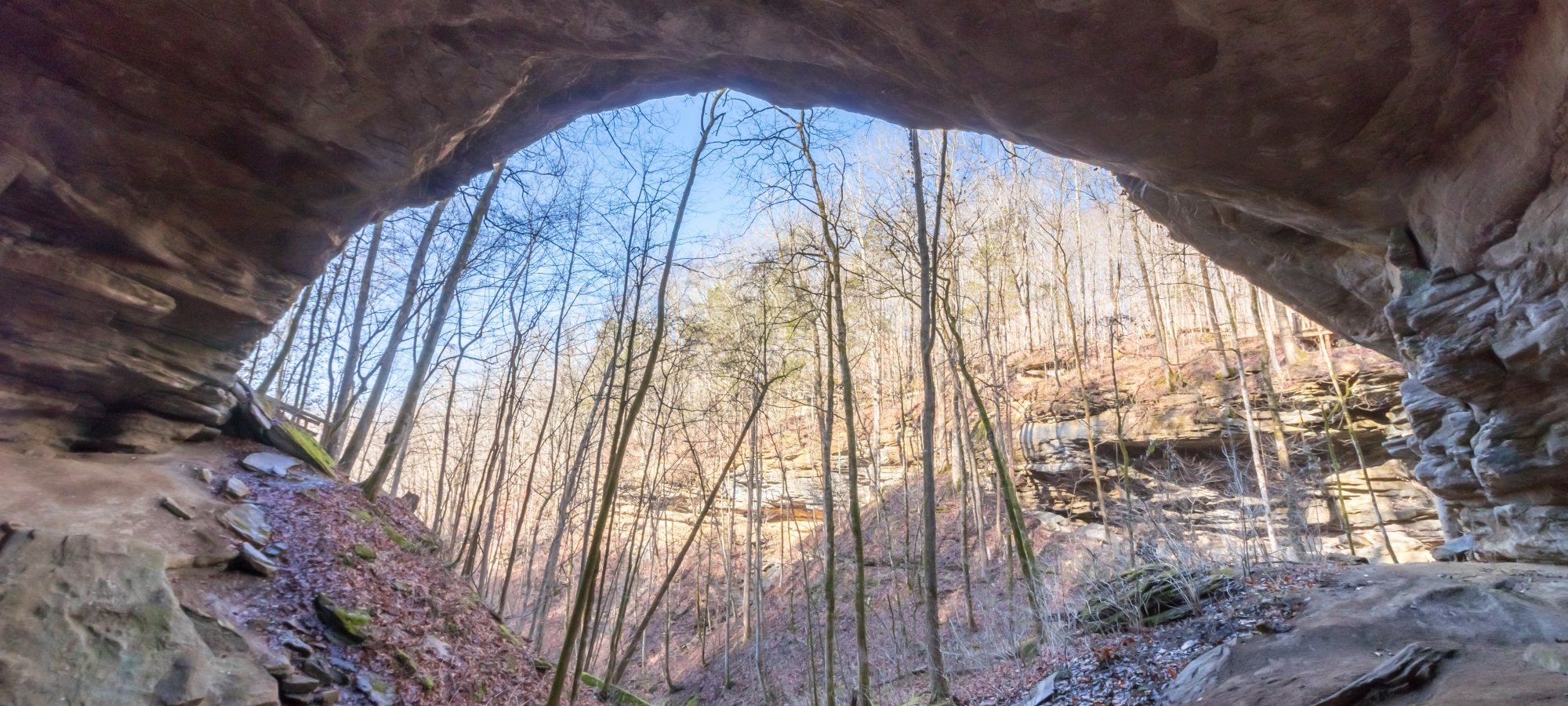 View from inside a rocky cave opening, overlooking a serene forest with bare trees under a clear blue sky. The scene feels peaceful and natural.