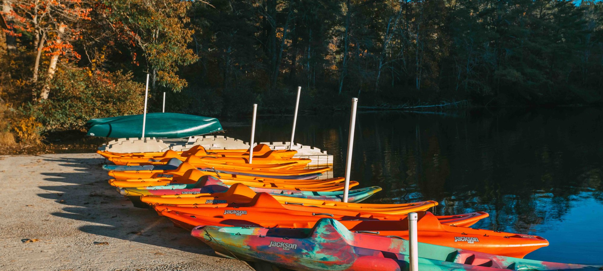 several paddling boats placed on a dock by the water
