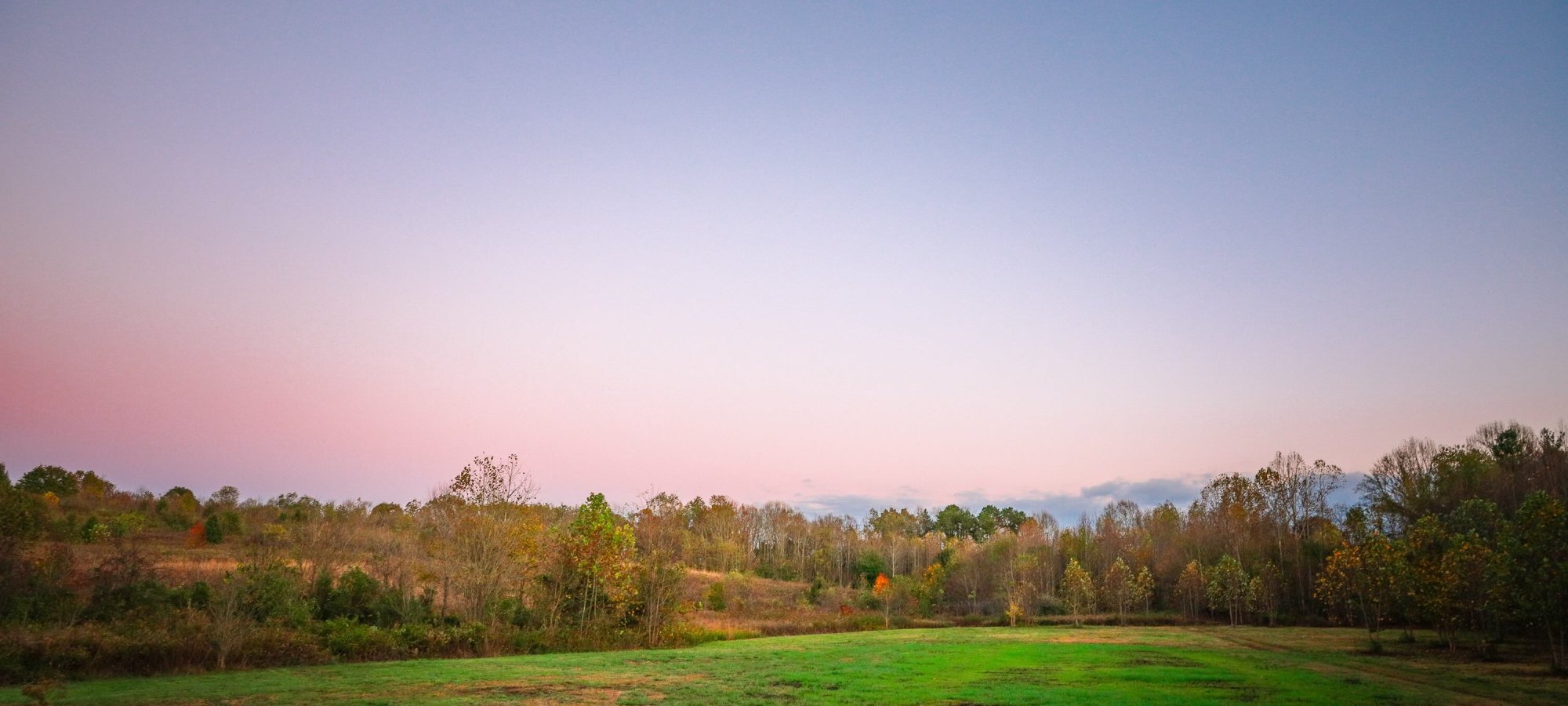 sunset landscape of a field