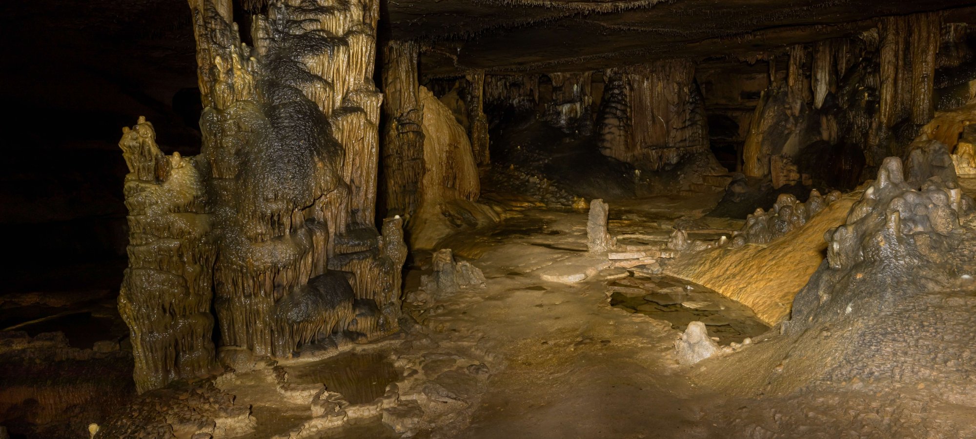 Dimly lit cave interior with stalactites and stalagmites creating a rugged landscape. The earthy tones and shadows evoke a mysterious, ancient atmosphere.