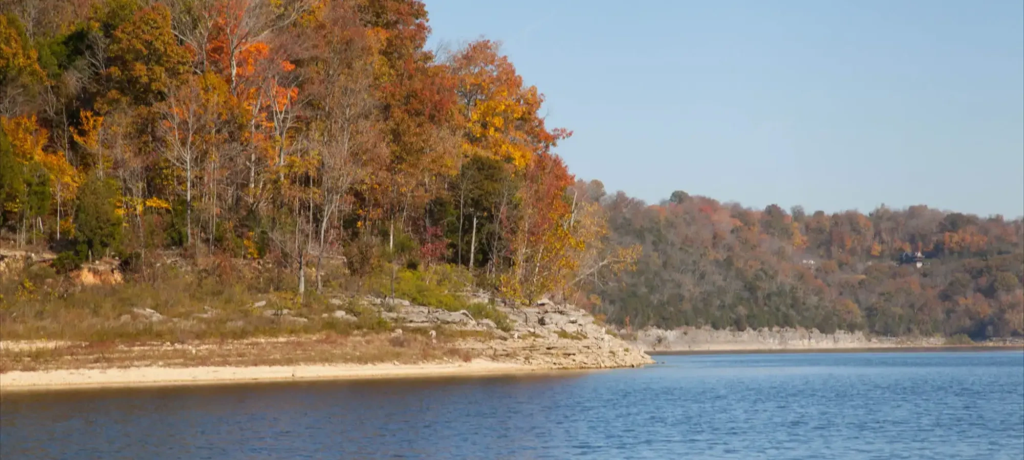 Trees with autumn leaves beside a calm lake under a clear sky.