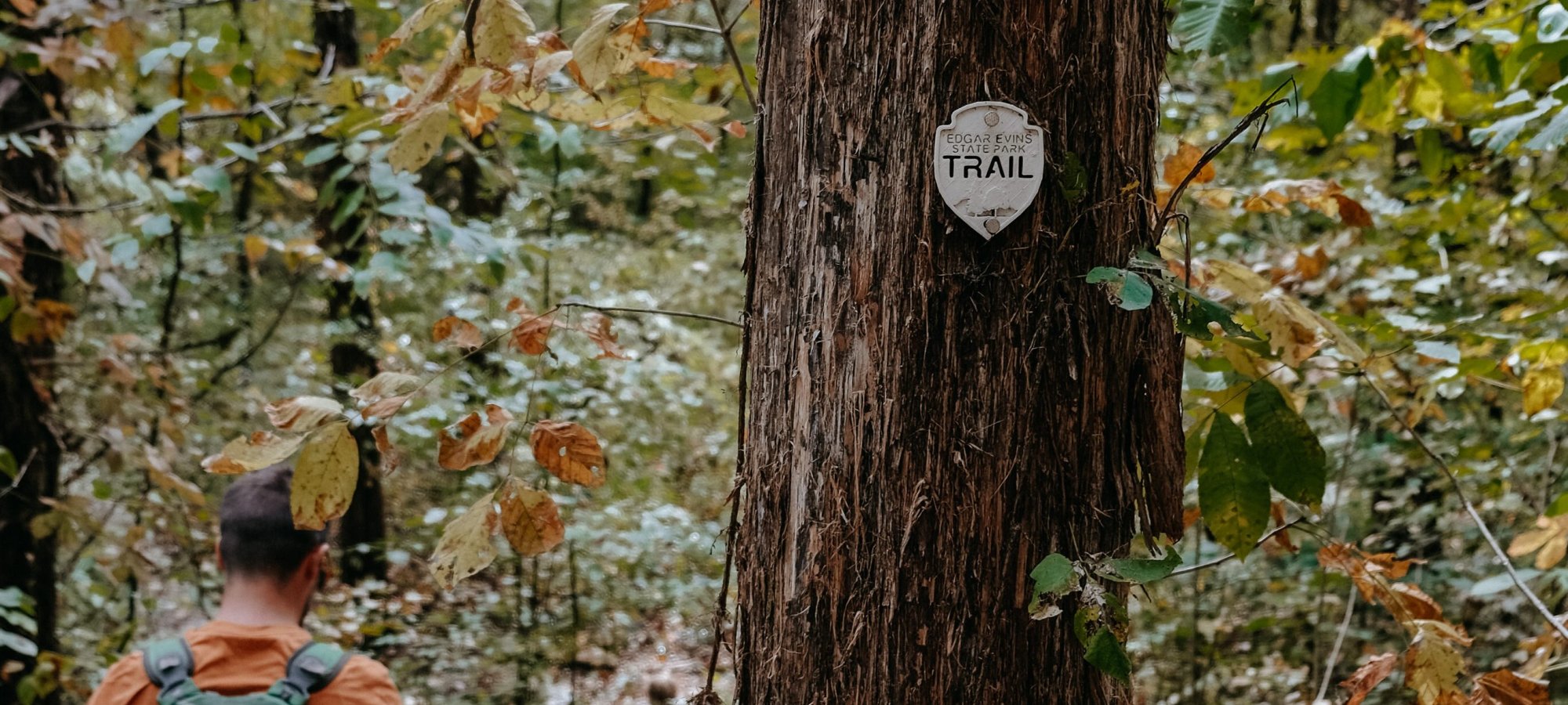 Man and child walking down a forest trail. The man carries a green backpack. A tree marked with a 
