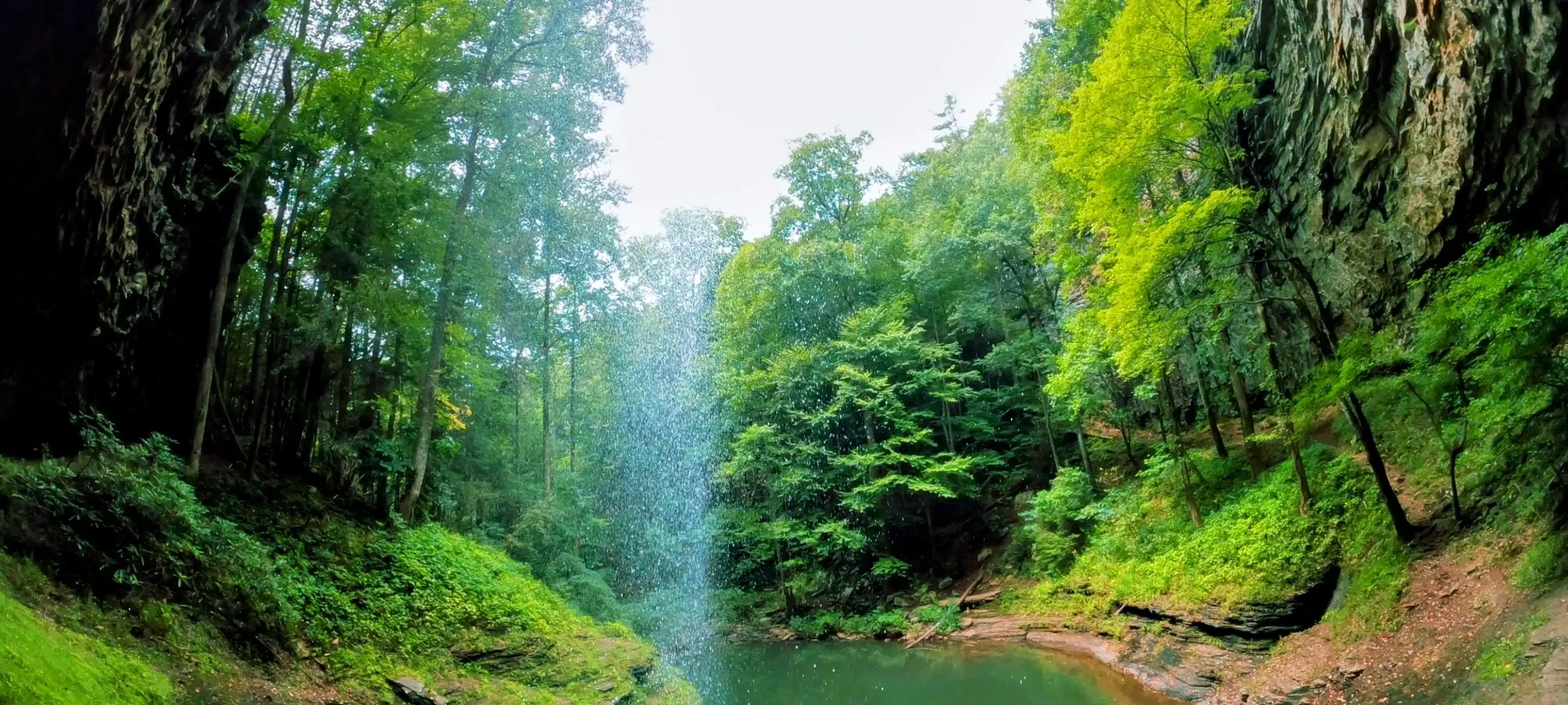 Waterfall cascading into a green forest pool under a rocky overhang.