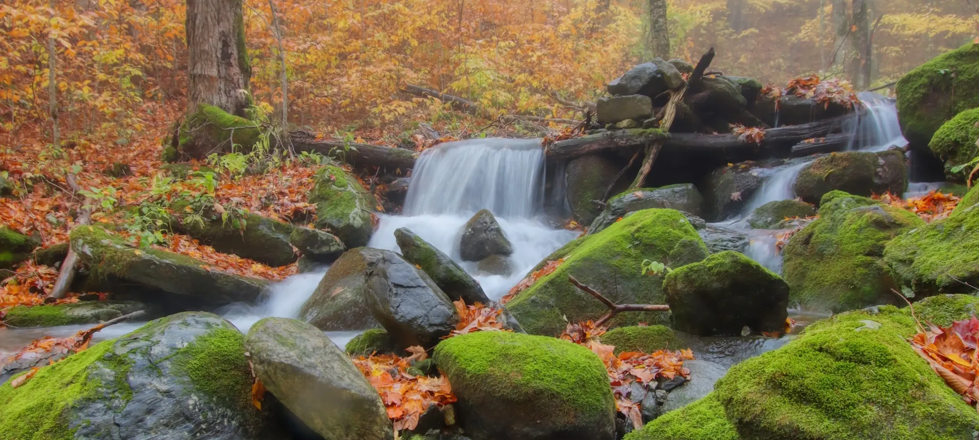 Autumn forest with a small waterfall and moss-covered rocks.