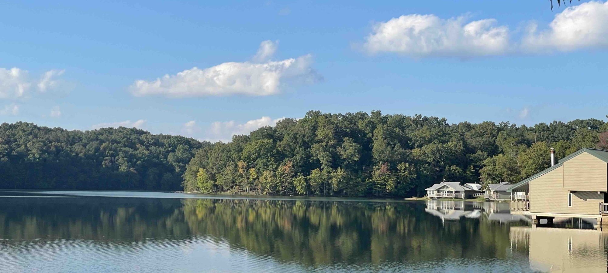 view of lake with trees in the distance and buildings to the right
