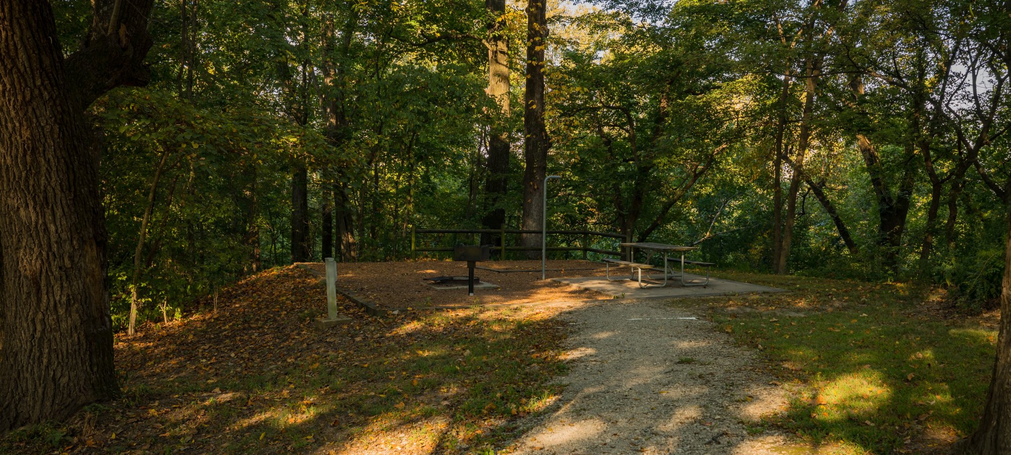 Sunlit forest trail surrounded by lush green trees; dappled sunlight casts shadows on the path. Tranquil and inviting atmosphere.