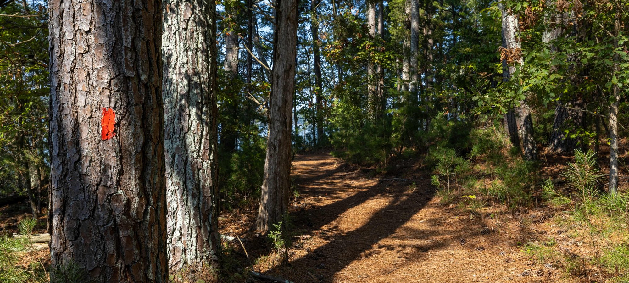 red marked trail