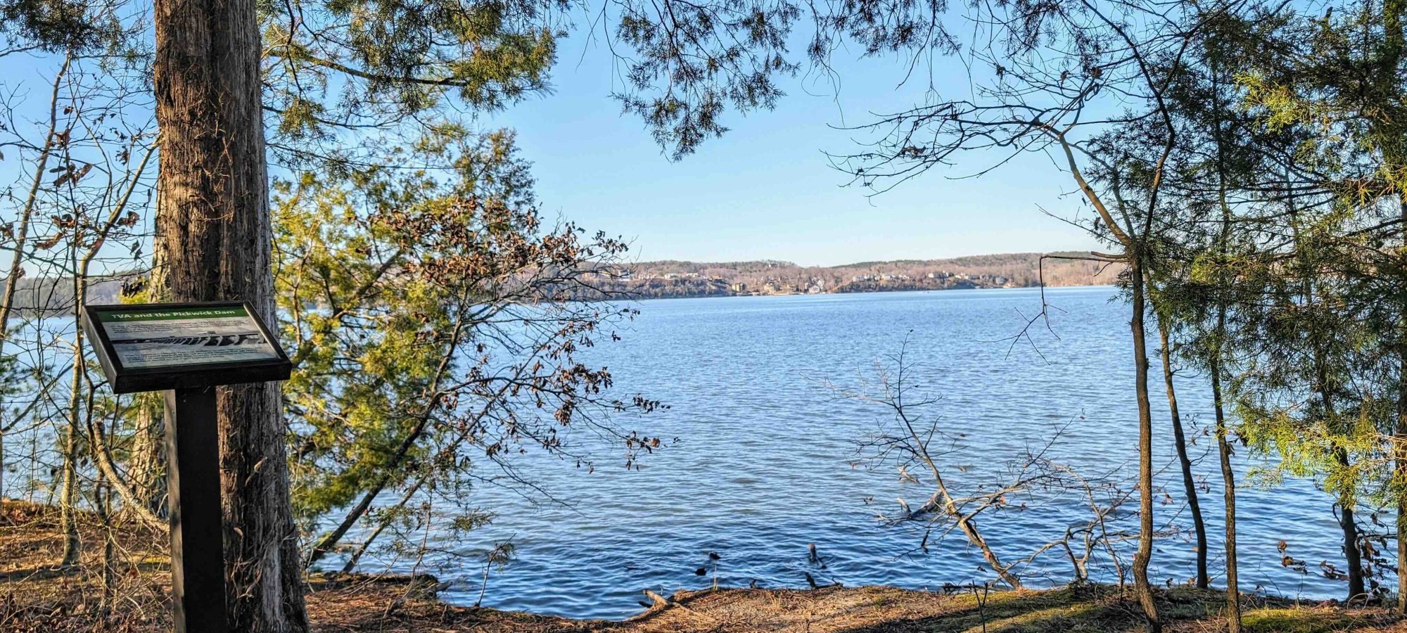 vantage point looking out into the lake along a natural trail