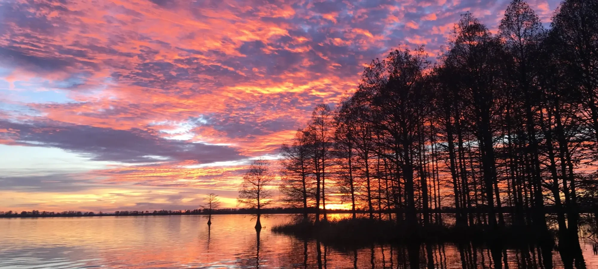 Sunset with vibrant pink and orange clouds over a lake and silhouetted trees.