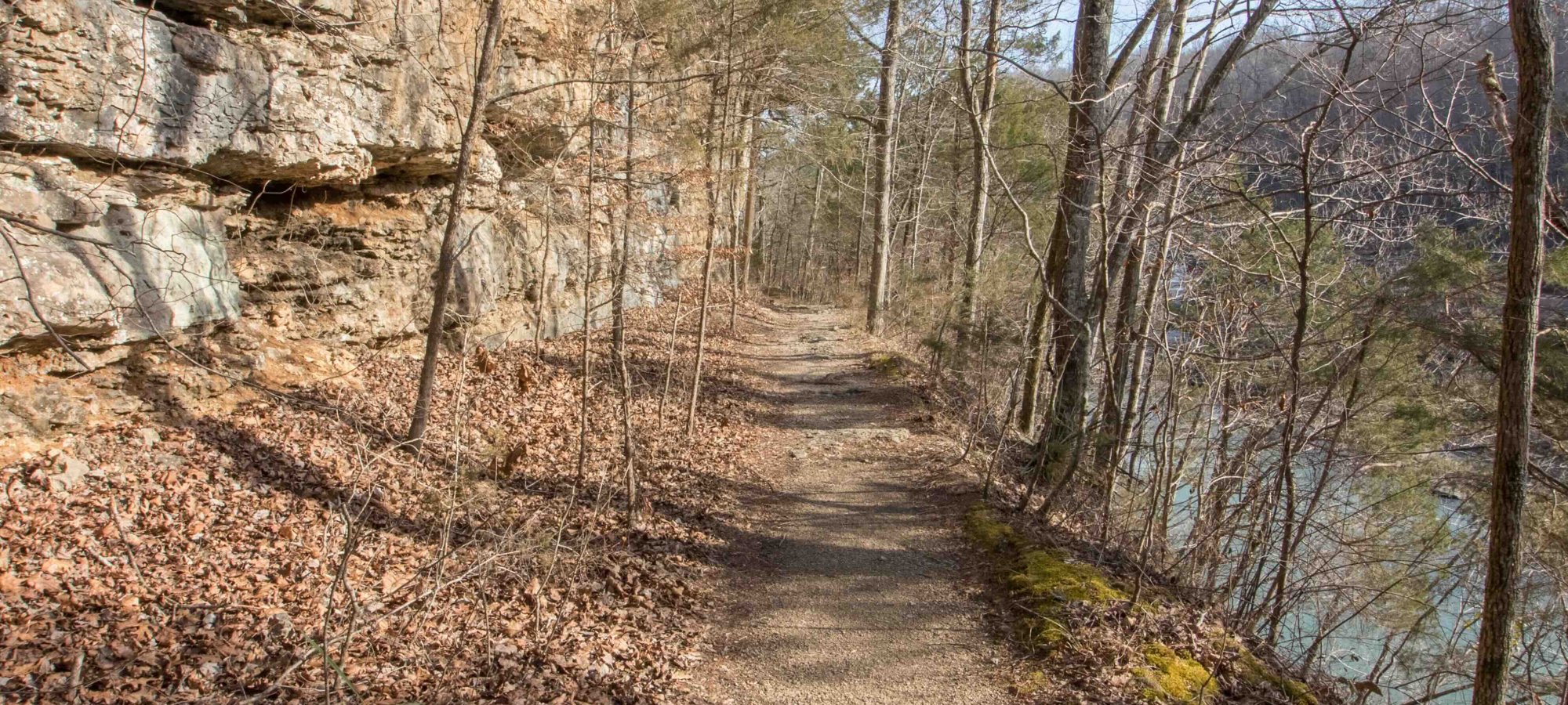 natural trail with brown leaves beside the trail and a river on the right