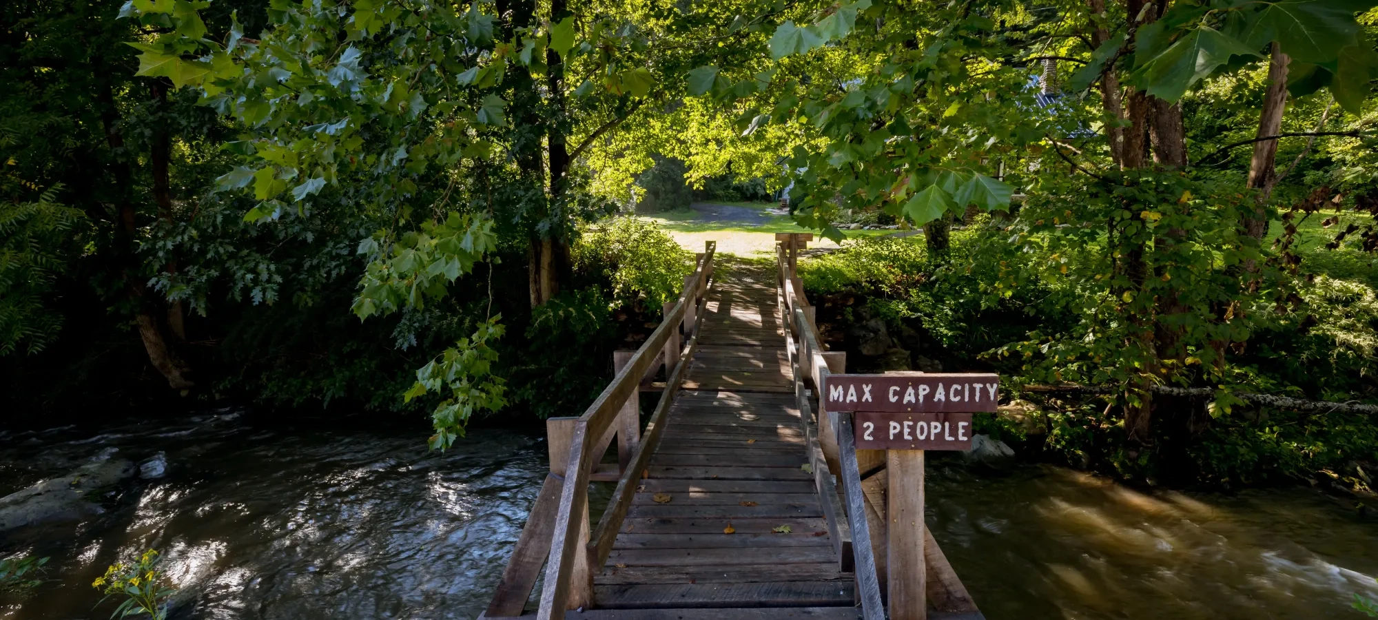 Wooden bridge over a stream, surrounded by lush greenery.