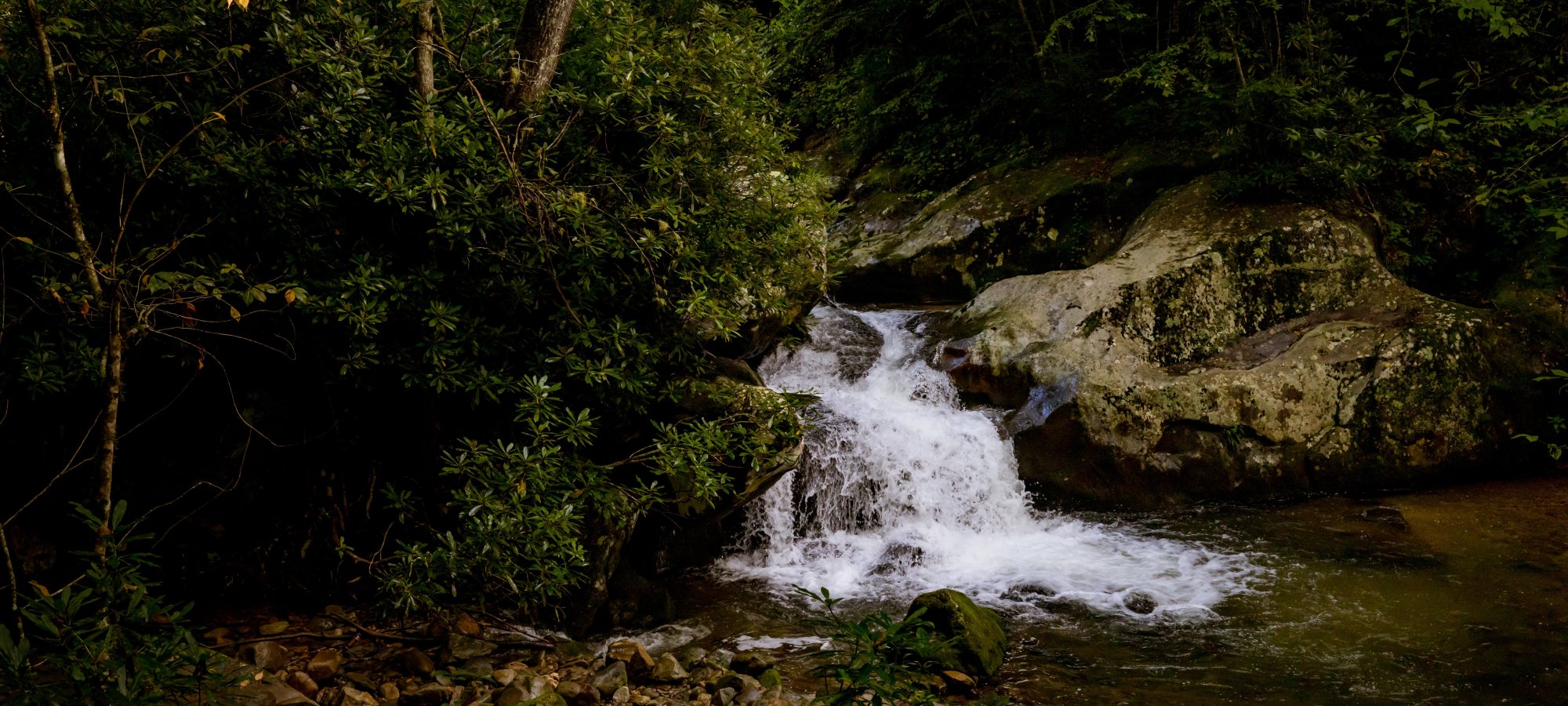 A serene forest scene with a small waterfall cascading over rocks into a gentle stream. Surrounded by lush green foliage and trees, conveying tranquility.