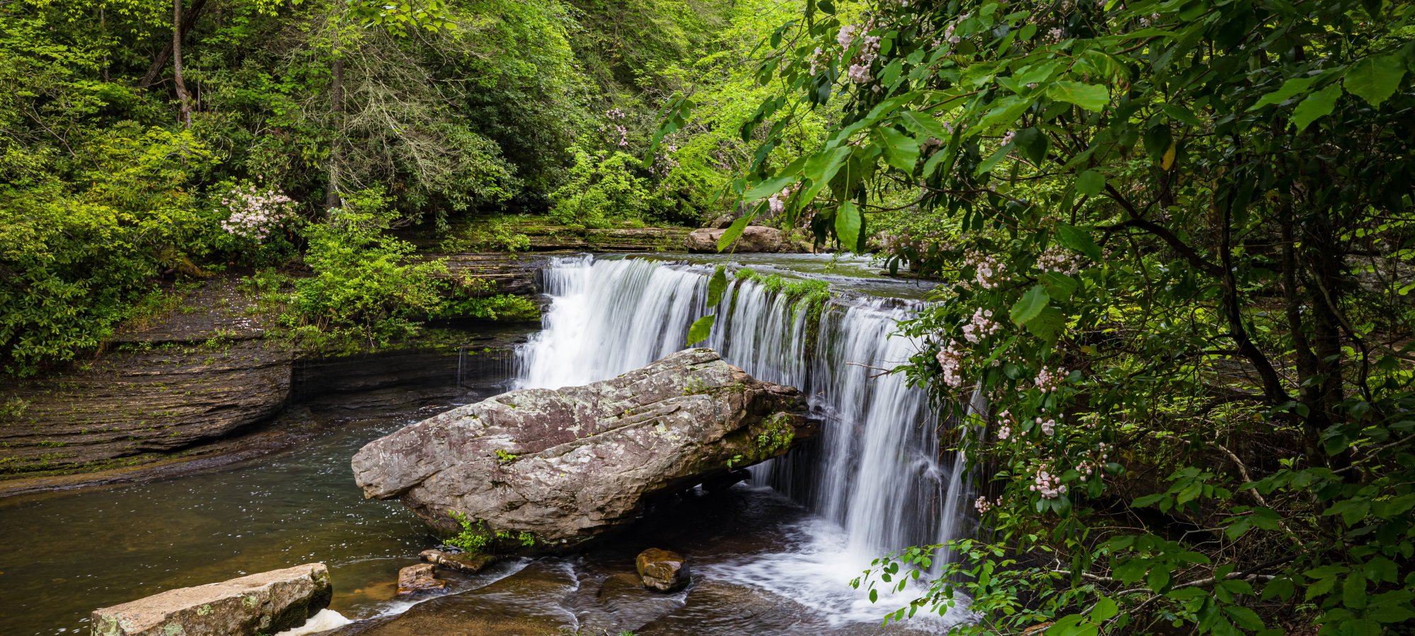 A serene waterfall cascades over rocks into a clear stream, surrounded by lush green foliage and blooming flowers, creating a peaceful, natural scene.
