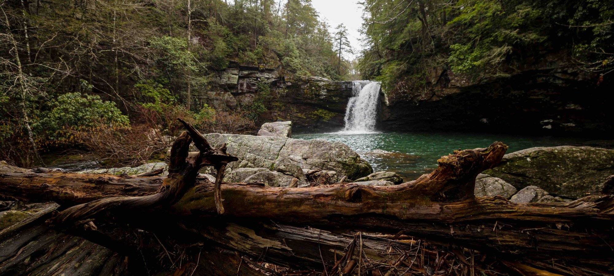 low view of a waterfall with a fallen tree branch near it