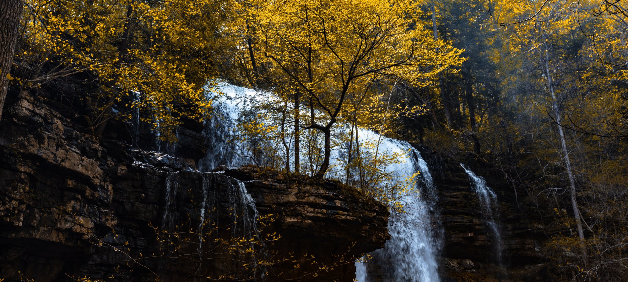 A serene waterfall cascades over rocky cliffs, surrounded by trees adorned with vibrant yellow autumn leaves, creating a tranquil and picturesque scene.