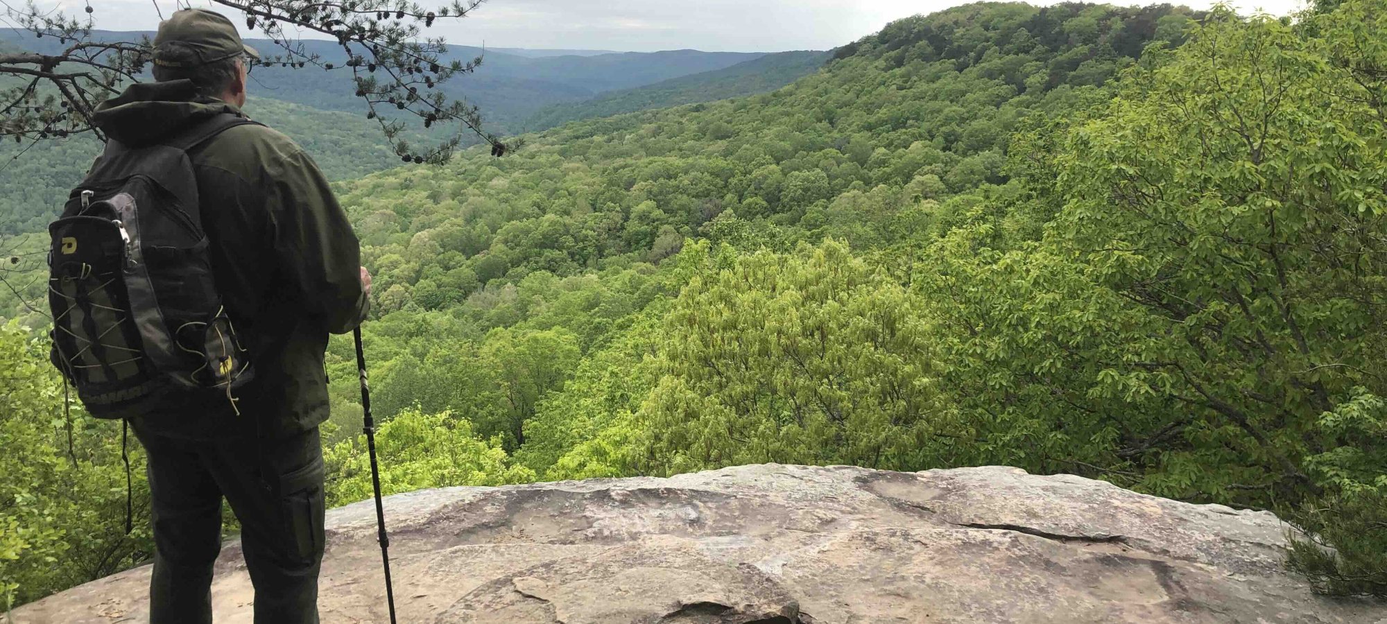 man standing with a hiking bag and hiking stick looking over a cliff looking at forest