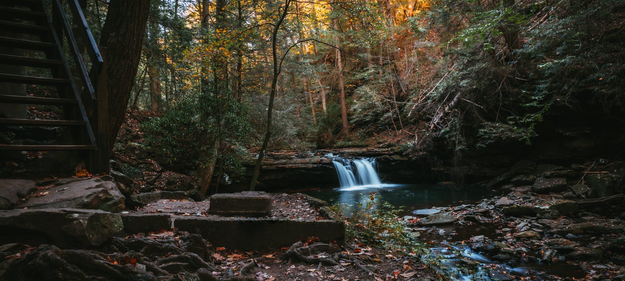 Forest scene with a small waterfall flowing into a tranquil pool, surrounded by lush green foliage. A staircase descends on the left side, evoking a serene, natural atmosphere.
