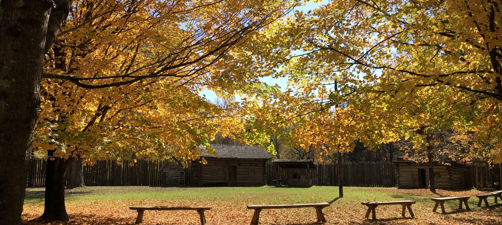 Autumn scene with vibrant yellow and orange leaves on trees, wooden benches on fallen leaves, and rustic cabins in the background. Warm, serene atmosphere.