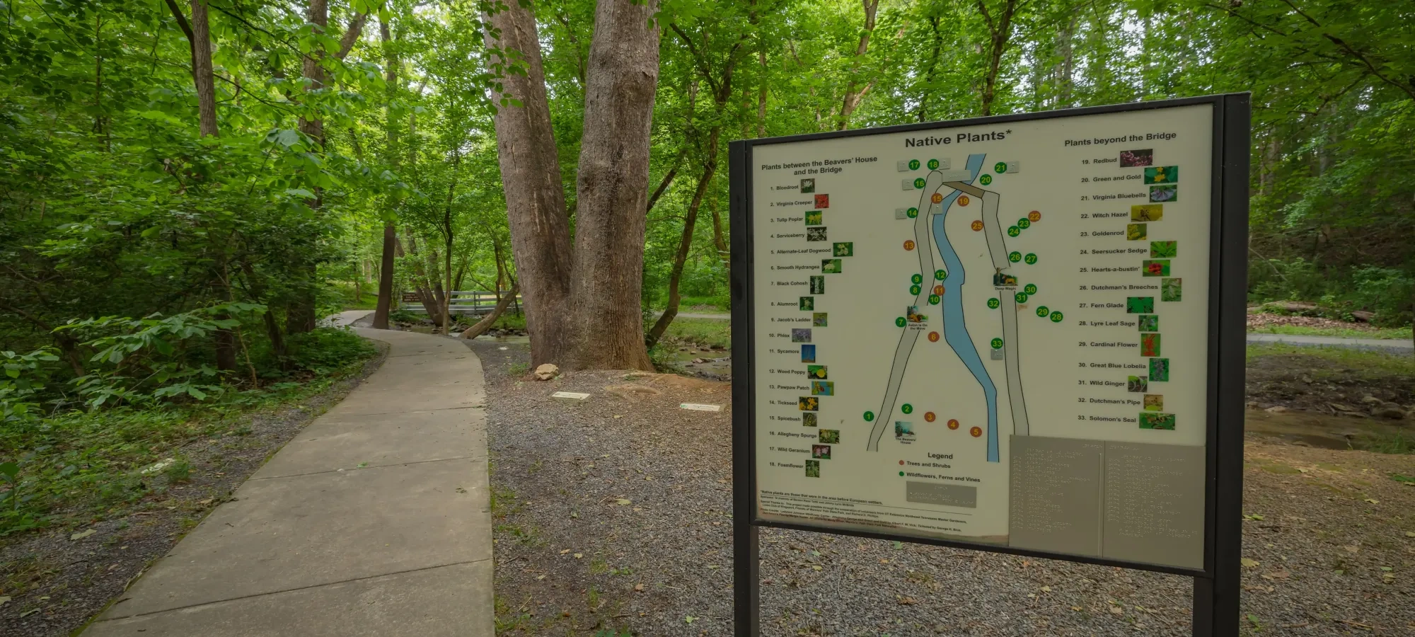 Trail sign with native plants map in a lush green forest.