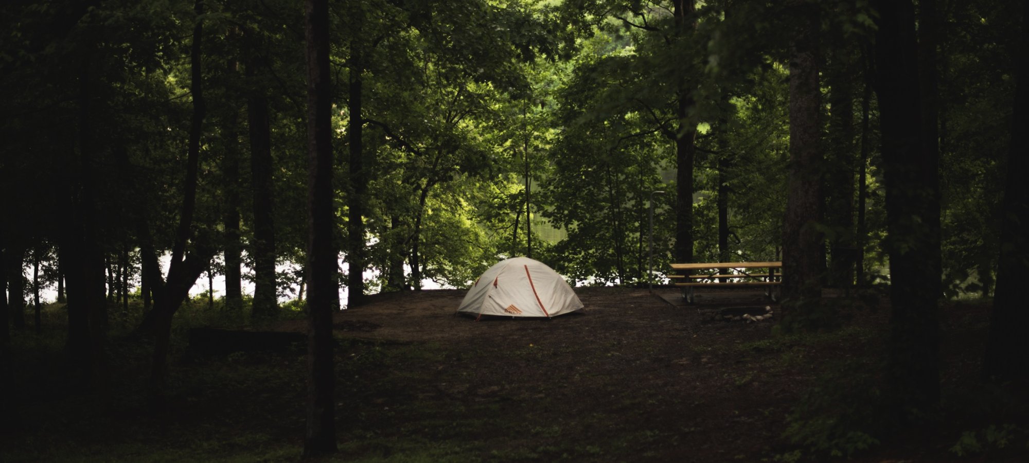 A lone tent is pitched in a dense, green forest clearing, surrounded by tall trees. Nearby is a wooden picnic bench, evoking a peaceful, secluded camping scene.