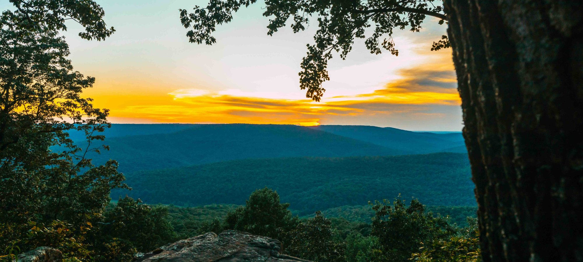 view of sunset from cliff hidden behind trees showing landscape