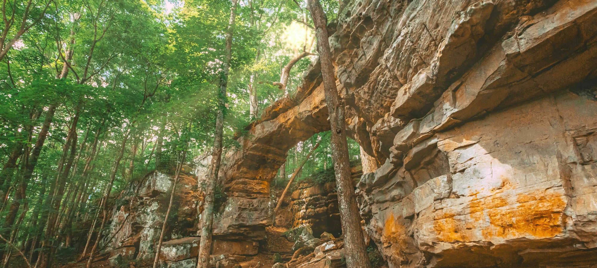 View of a natural constructed stone bridge in a forest