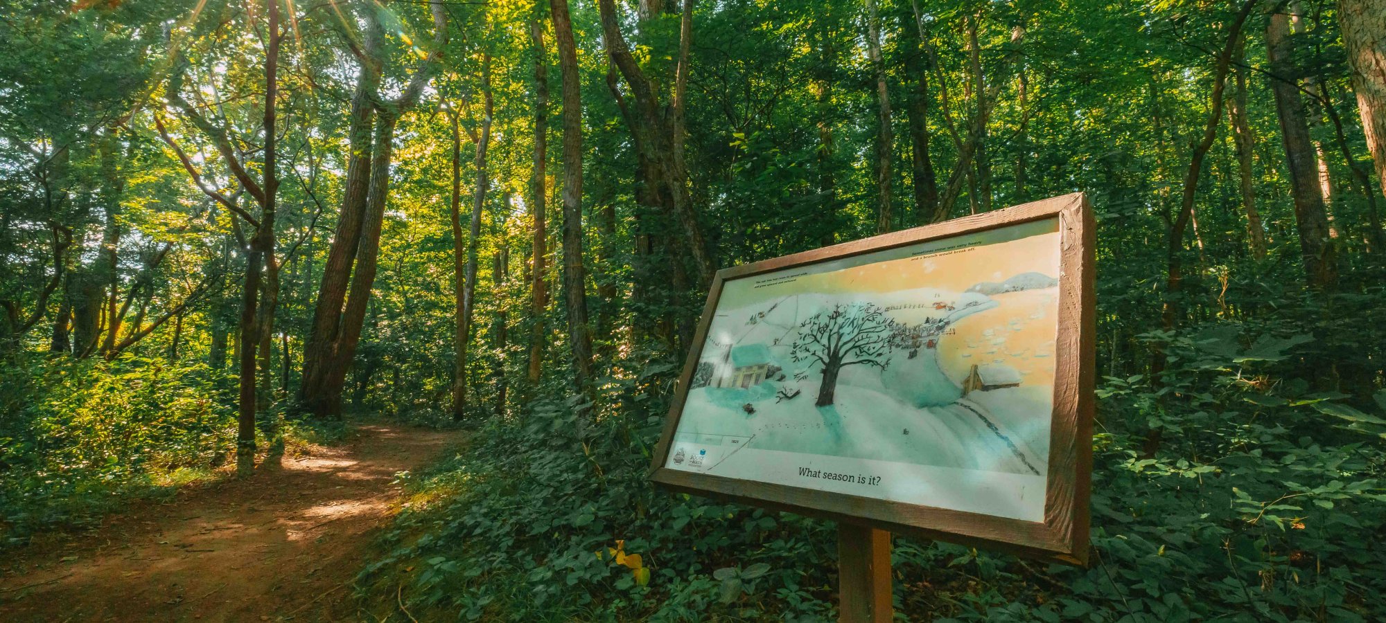 View of education panel in a forest near a dirt path