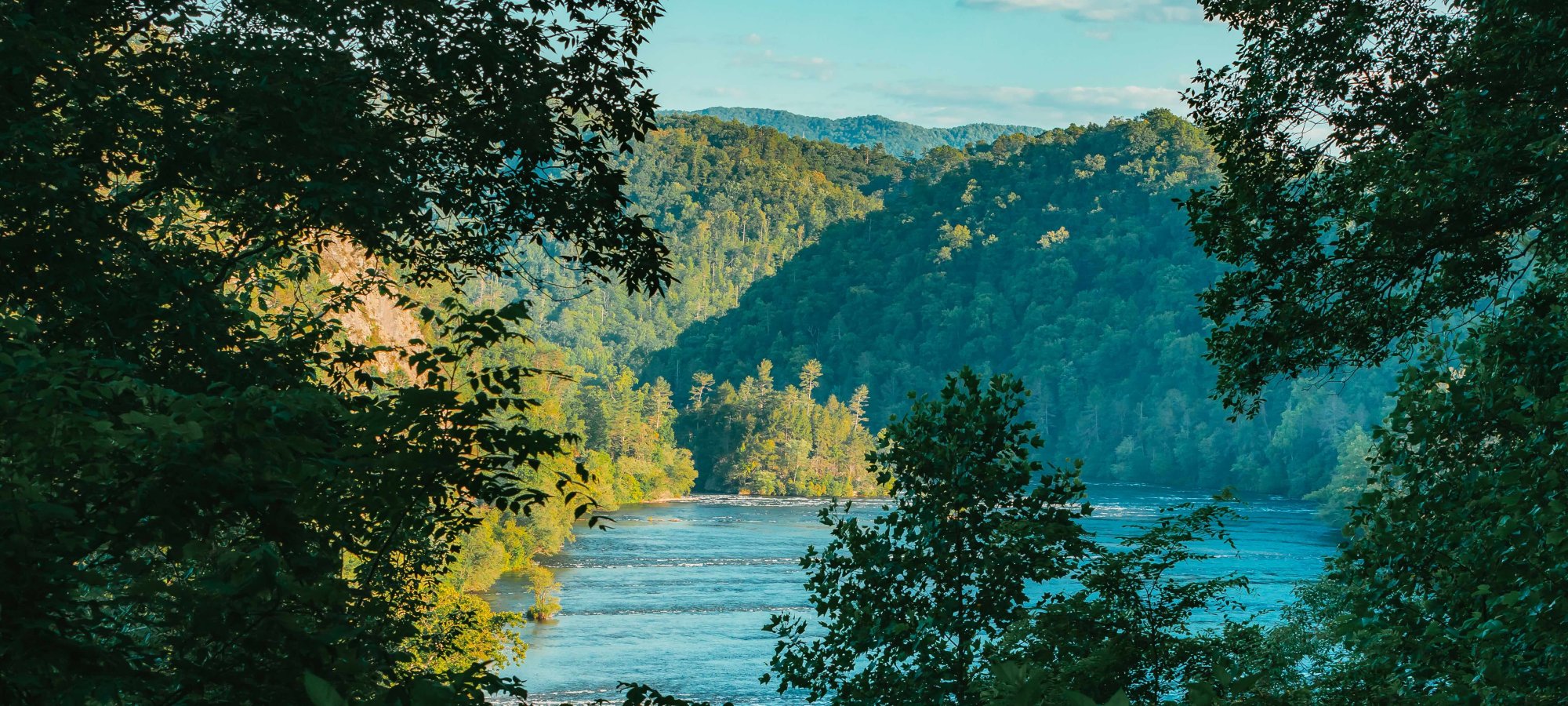 view of lake behind some trees on a sunny day revealing the blue water and a mountain covered in trees