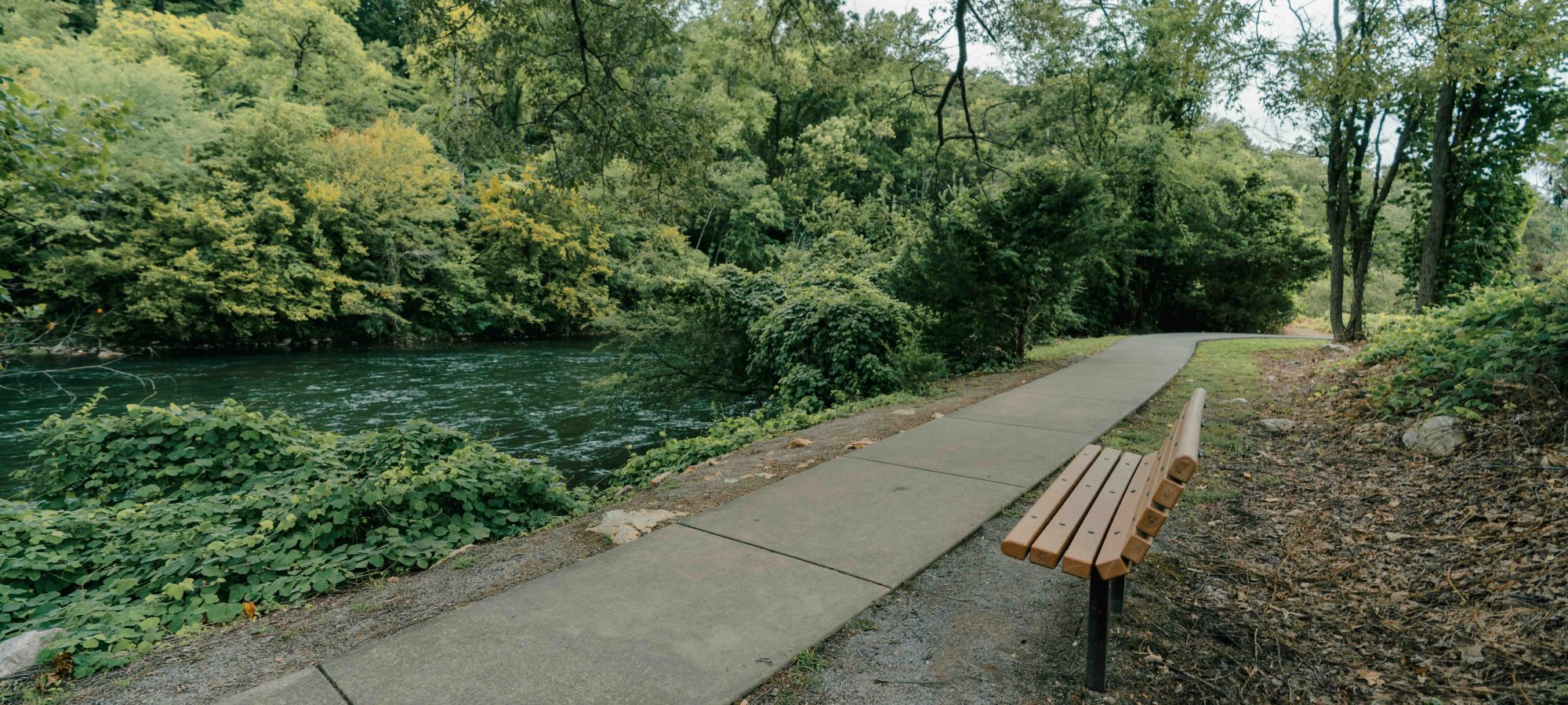 concrete trail that leads off to the right with a bench that faces toward the river