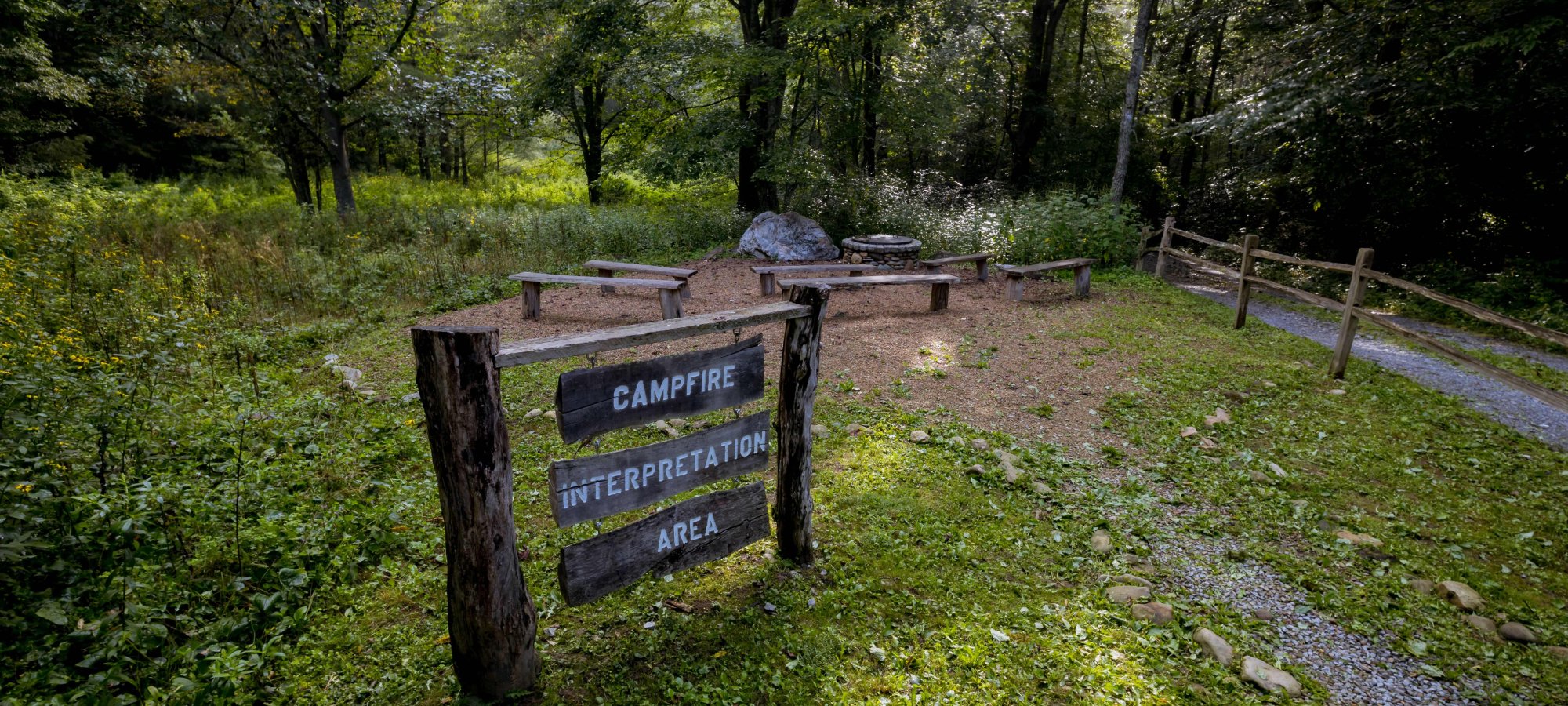 Sunny forest campground with a wooden 