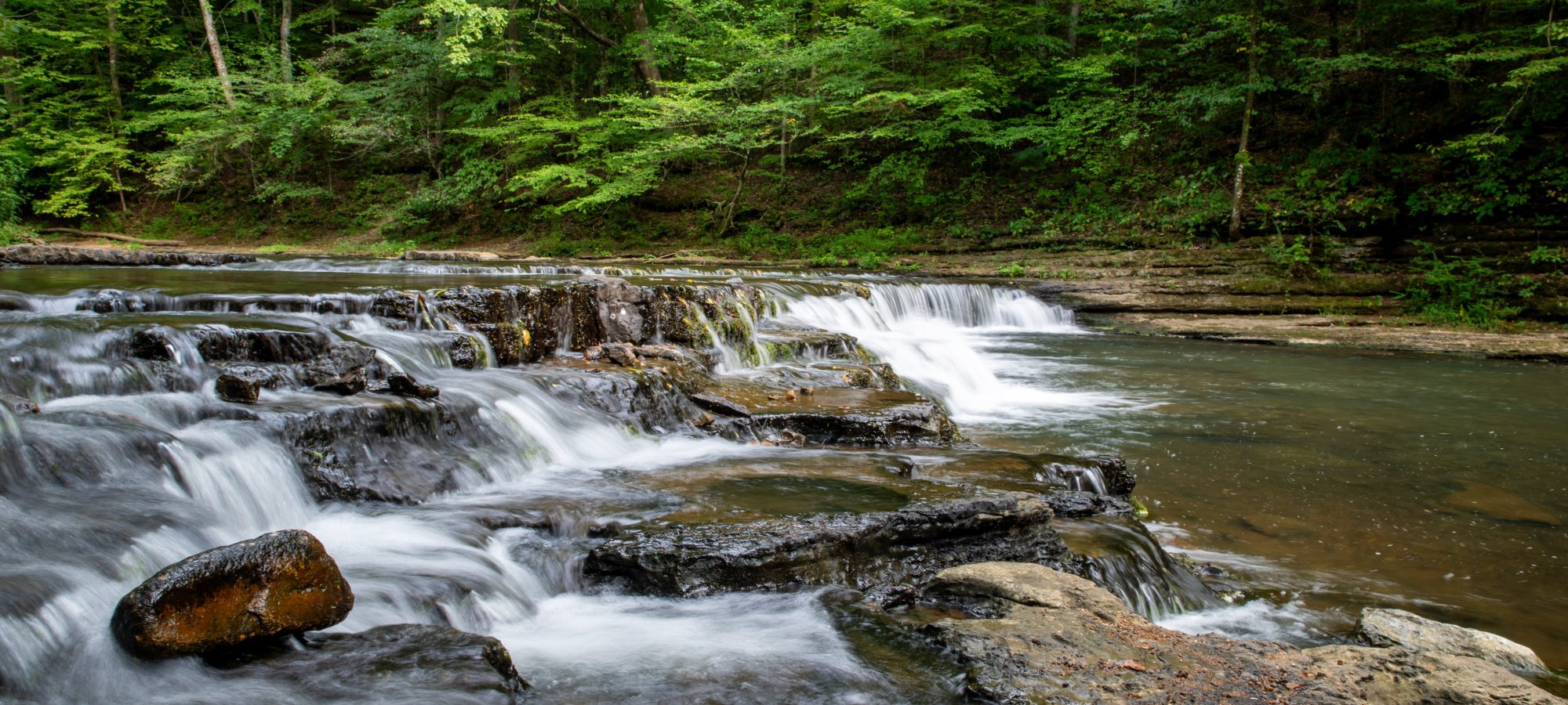 Stream flowing over rocky cascades in a lush forest.